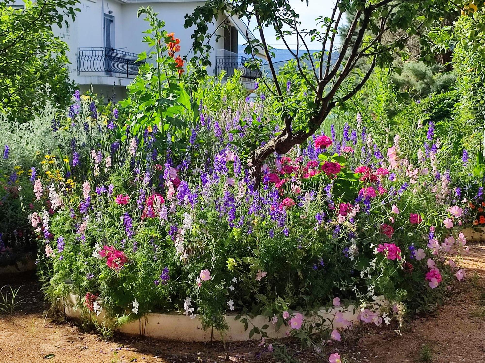 הוילה ואטי Anticlea II מראה חיצוני תמונה